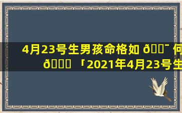 4月23号生男孩命格如 🐯 何 🐝 「2021年4月23号生女孩好不好」